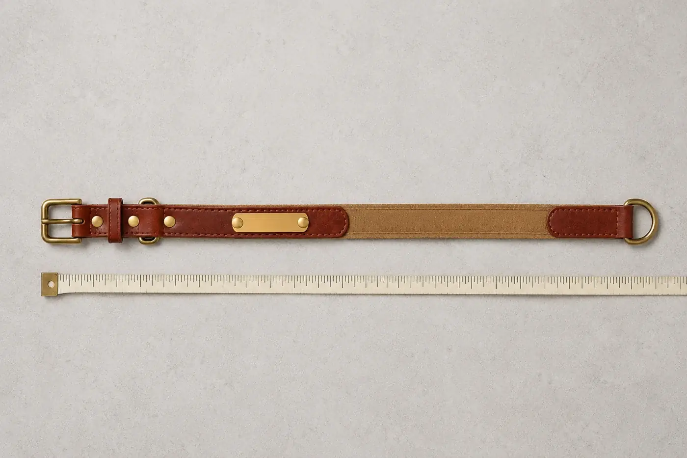 collier en cuir posé à plat et entièrement déployé, un mètre ruban tendu sur toute sa longueur juste en dessous