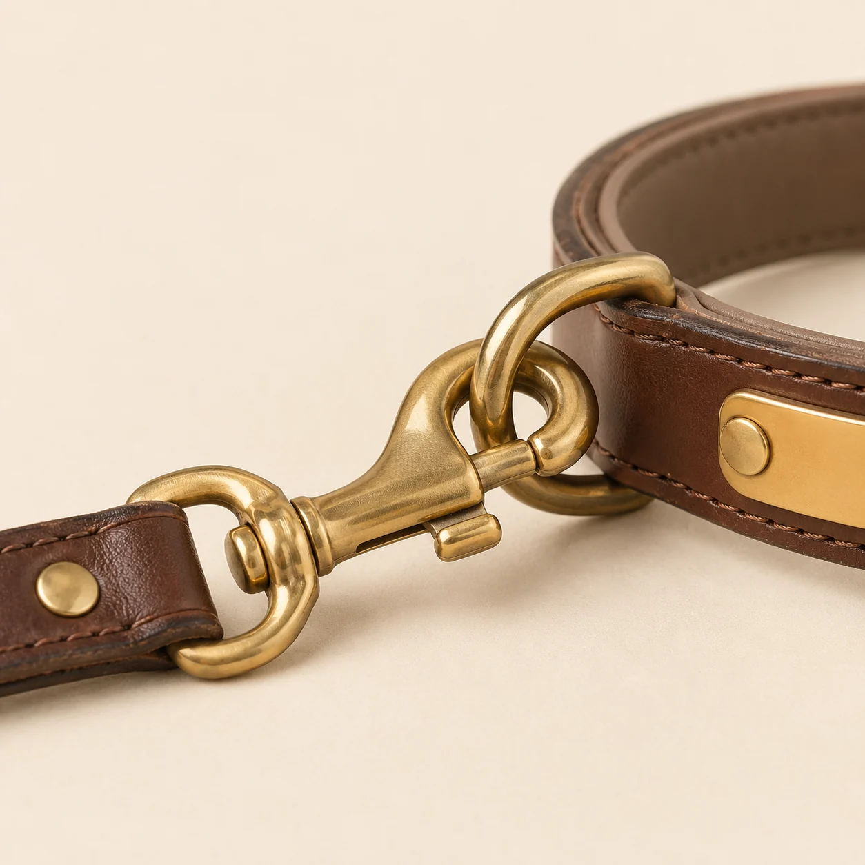 macro du mousqueton laiton de la laisse clipsé sur l'anneau du collier brun, les deux pièces jointes